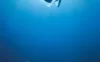 海洋 Océans (2009)